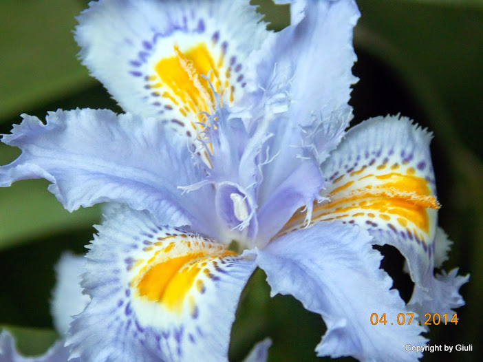 DSCN2067.JPG