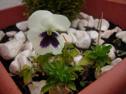 DSCN2098.JPG