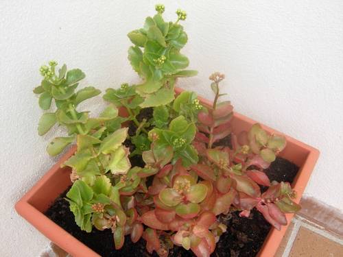 DSCN2102.JPG