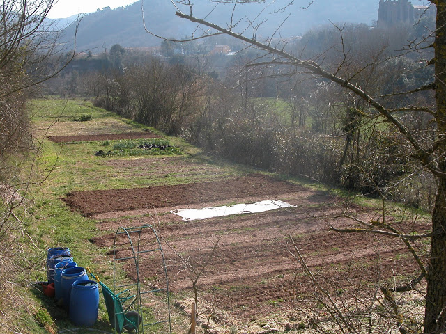 DSCN2120.JPG