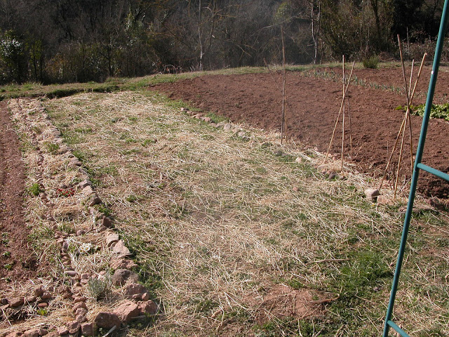 DSCN2121.JPG