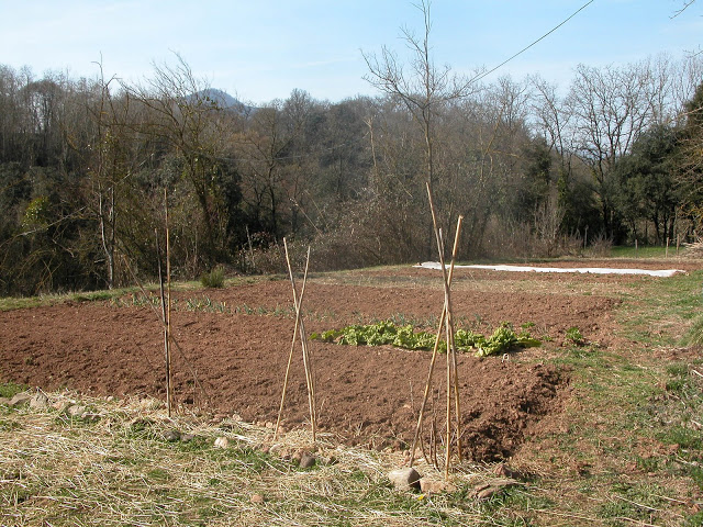 DSCN2122.JPG