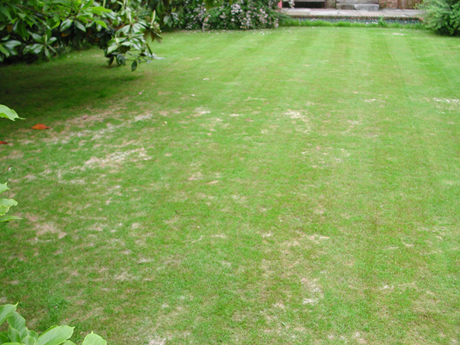 DSCN2123.jpg