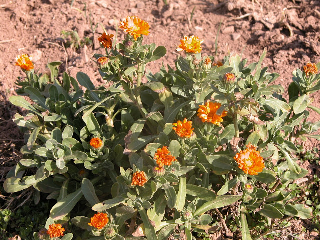 DSCN2124.JPG
