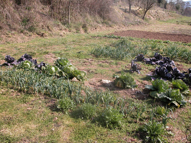DSCN2125.JPG