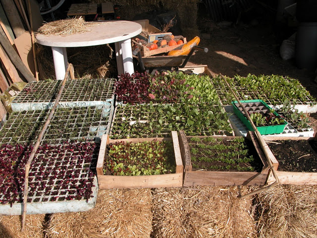 DSCN2149.JPG