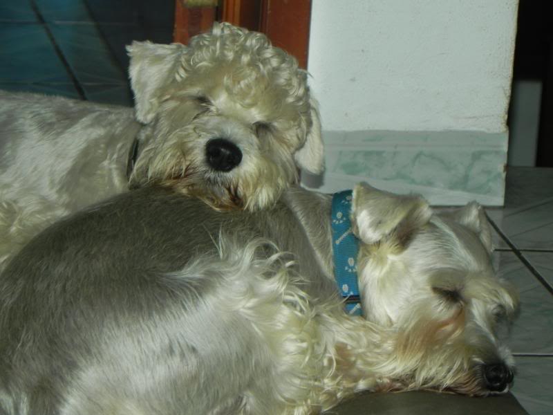 DSCN2168.jpg