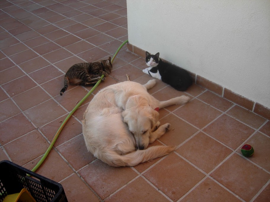 DSCN2174.JPG