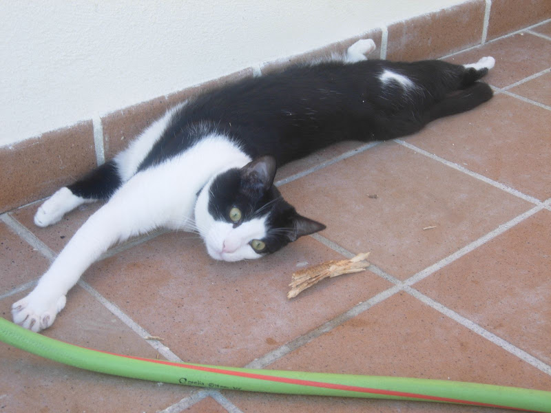 DSCN2176.JPG
