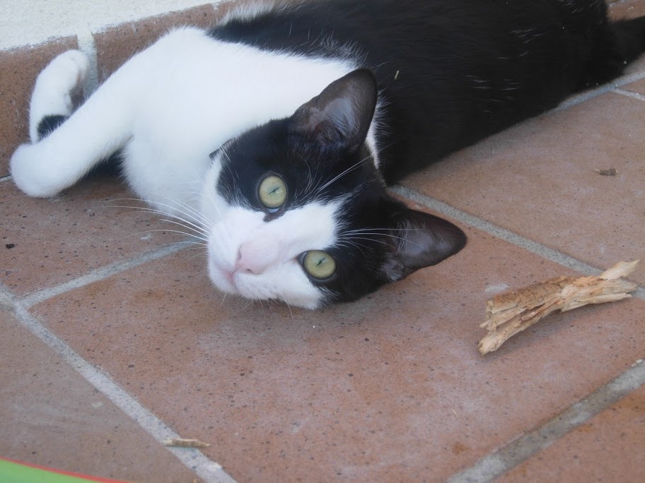 DSCN2178.JPG