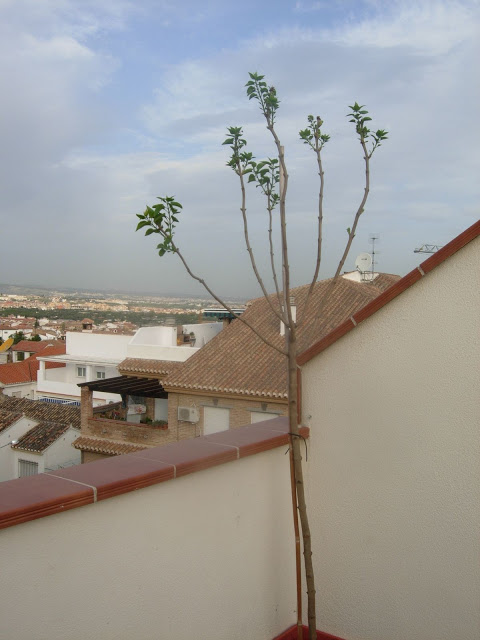DSCN2232.JPG