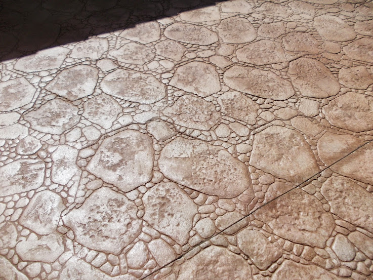DSCN2233.JPG