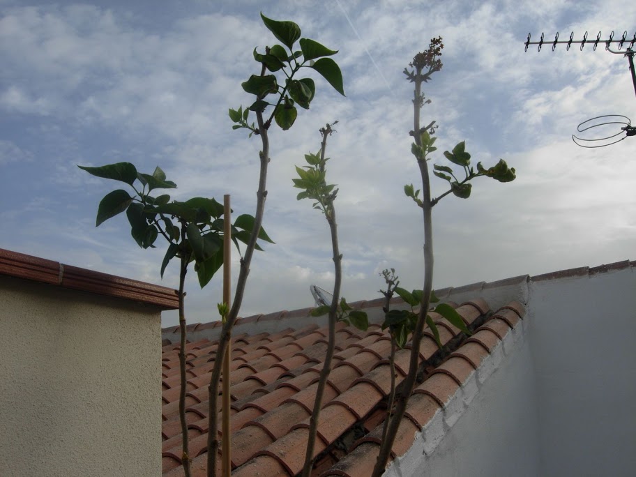 DSCN2235.JPG