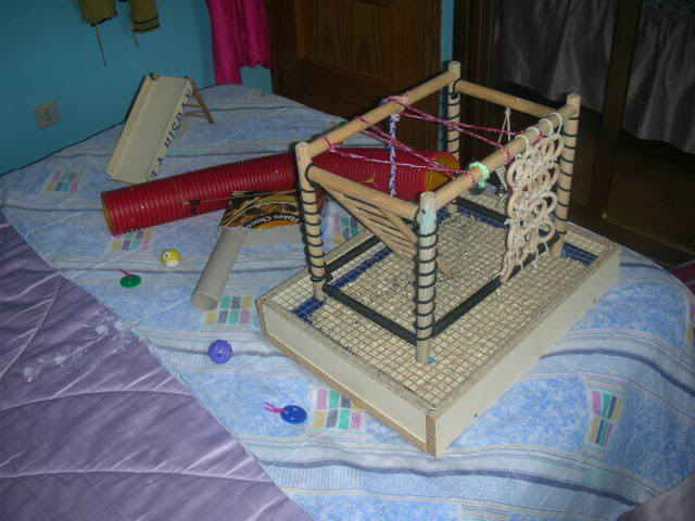 DSCN2269.jpg
