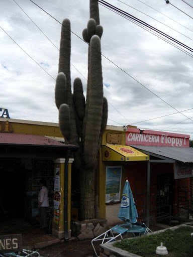 DSCN2319.JPG