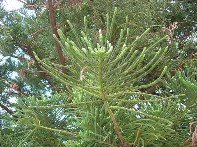 DSCN2336.jpg