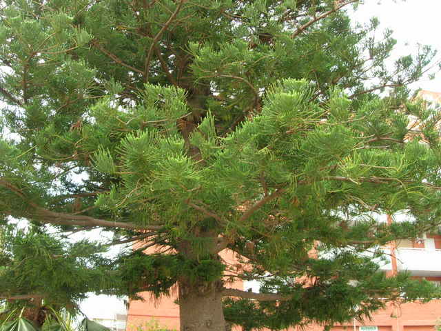 DSCN2391.jpg