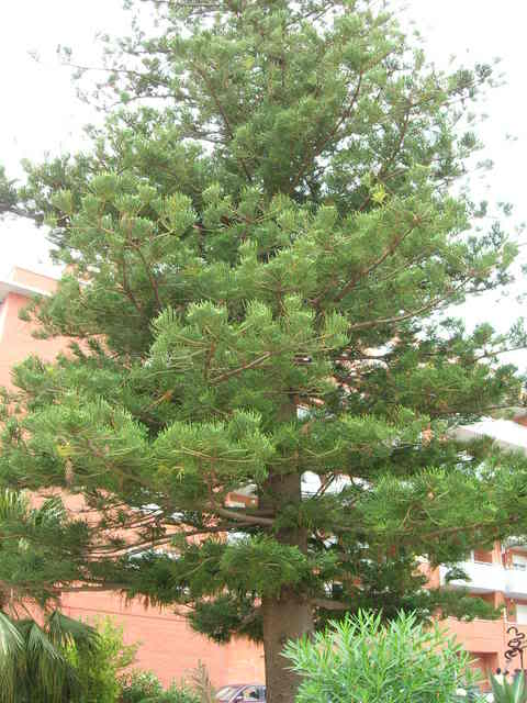 DSCN2393.jpg