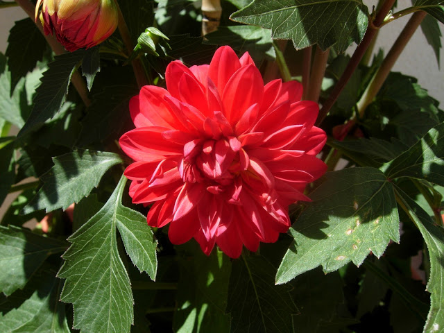 DSCN2409.JPG