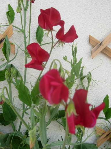 DSCN2414.JPG