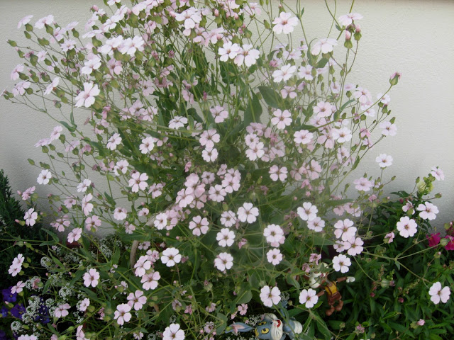 DSCN2418.JPG