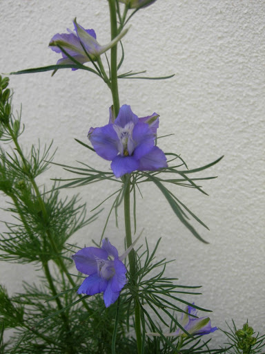 DSCN2419.JPG