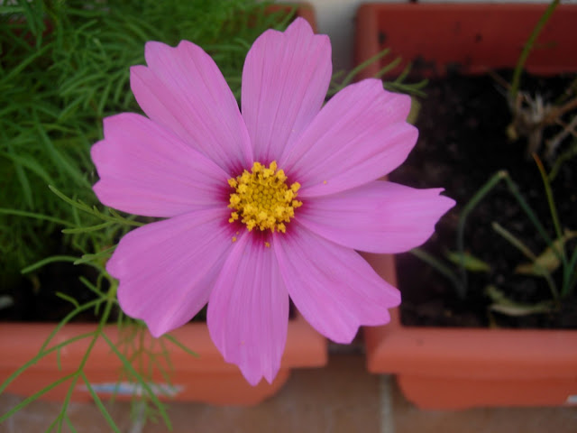 DSCN2420.JPG
