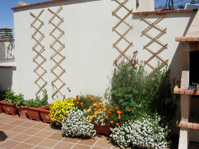 DSCN2423.JPG