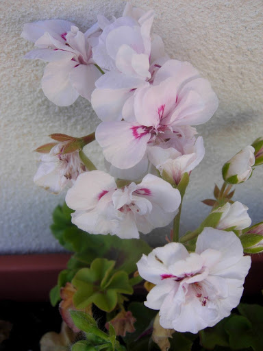 DSCN2426.JPG