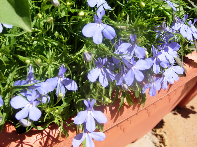 DSCN2428.JPG