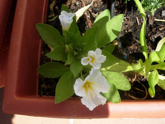 DSCN2431.JPG