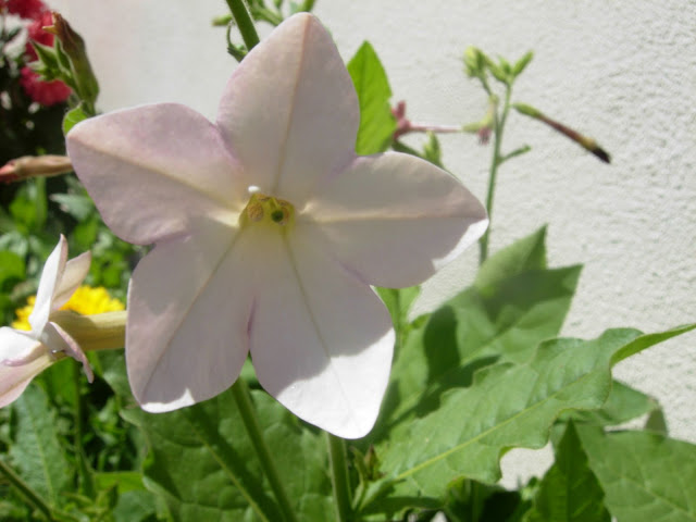 DSCN2434.JPG