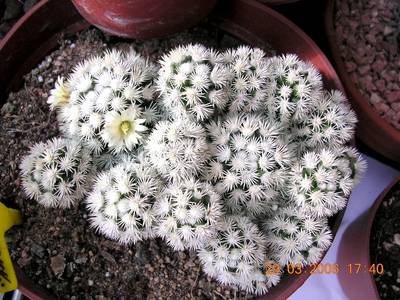 DSCN2447.JPG