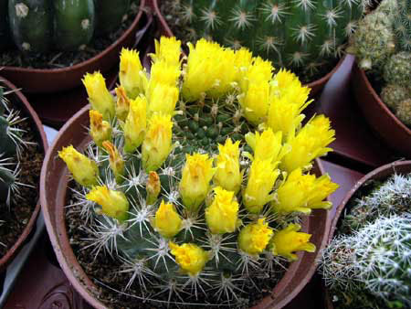 DSCN2480.JPG