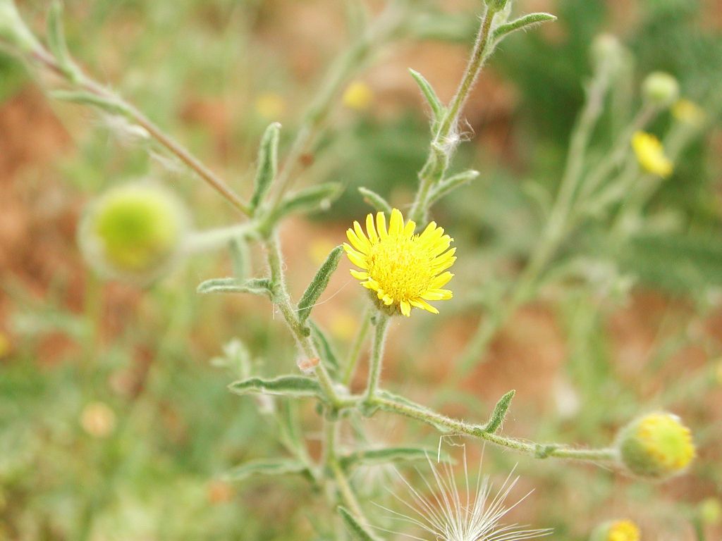 DSCN2505-re.jpg