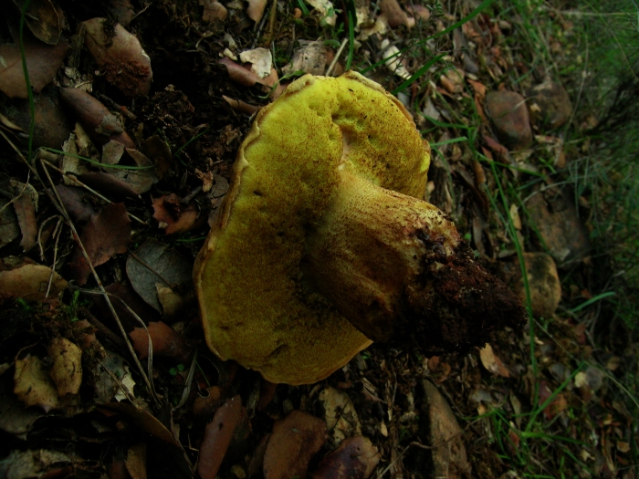 DSCN2507.JPG