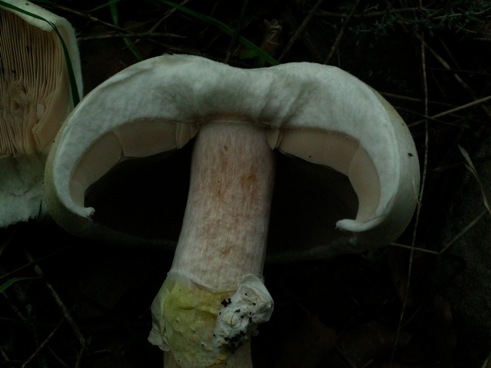 DSCN2515.JPG