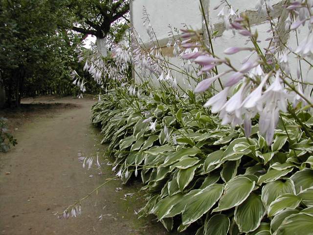 DSCN2558.jpg