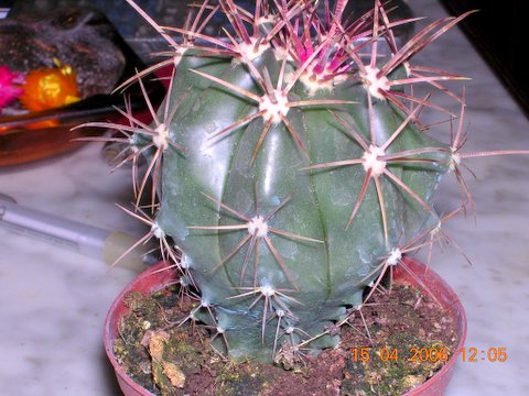 DSCN2563.JPG