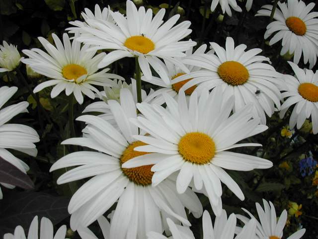 DSCN2564.jpg