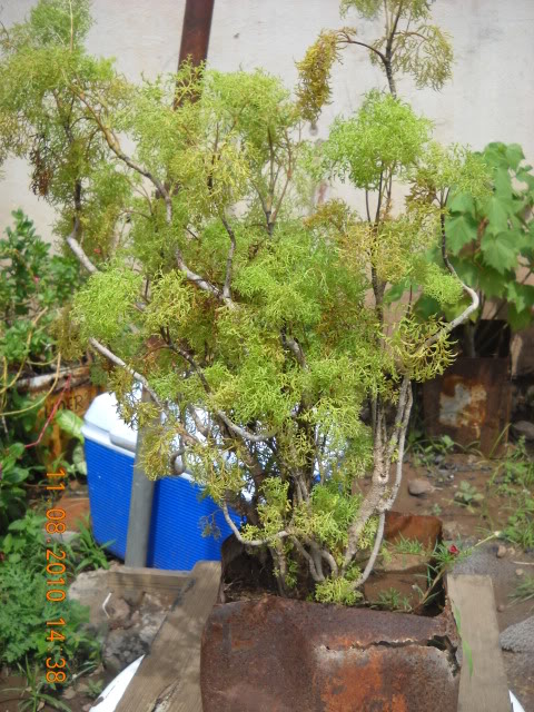 DSCN2566.jpg
