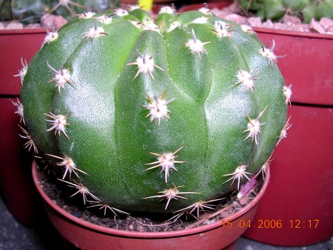 DSCN2566.JPG