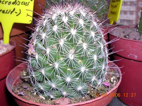 DSCN2567.JPG