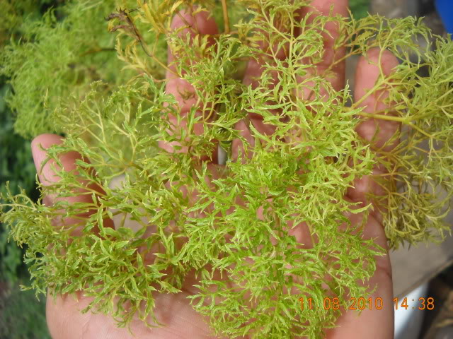 DSCN2569.jpg