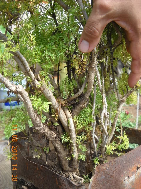 DSCN2570.jpg