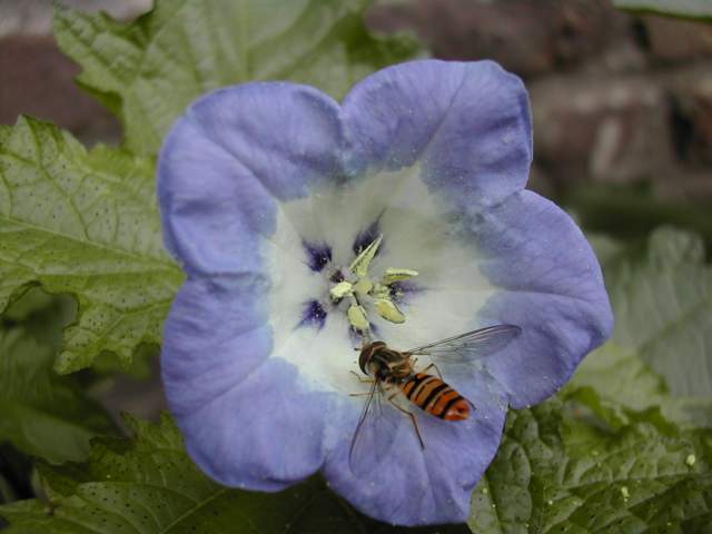 DSCN2577.jpg