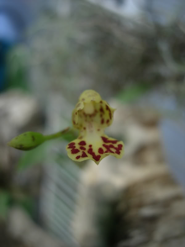 DSCN2578.jpg
