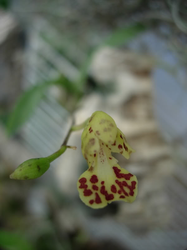 DSCN2579.jpg