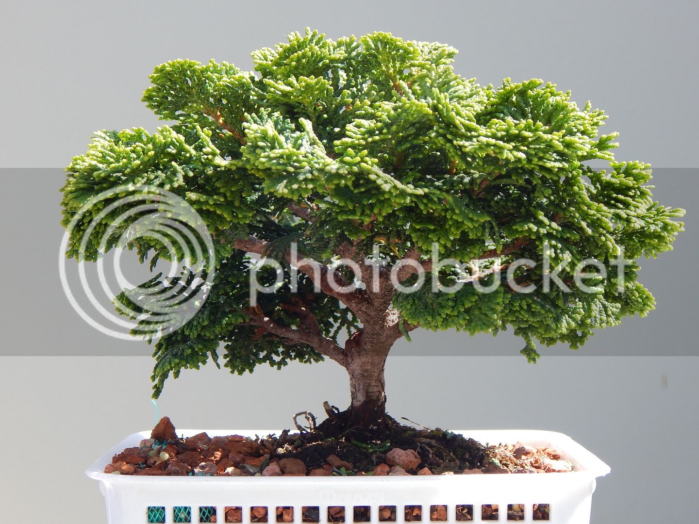 DSCN2618_zps1dhlisvc.jpg