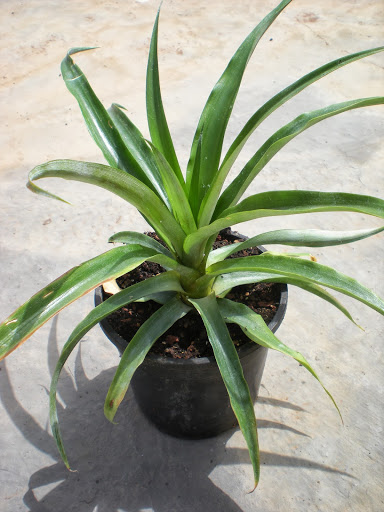 DSCN2621.JPG